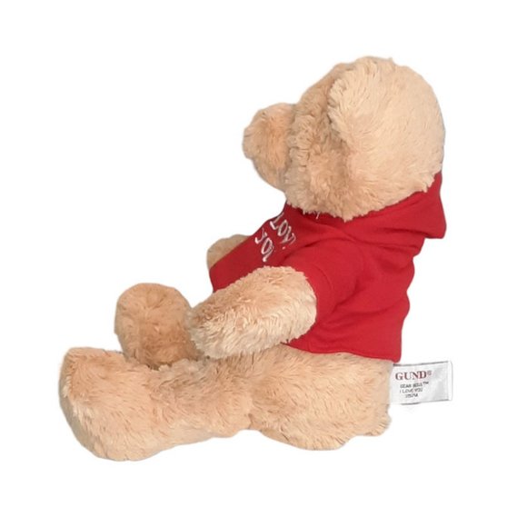 GUND Bear Hugs I Love You Hoodie T-Shirt #319714 Stuffed Animal Plush Toy 12" - Picture 3 of 7